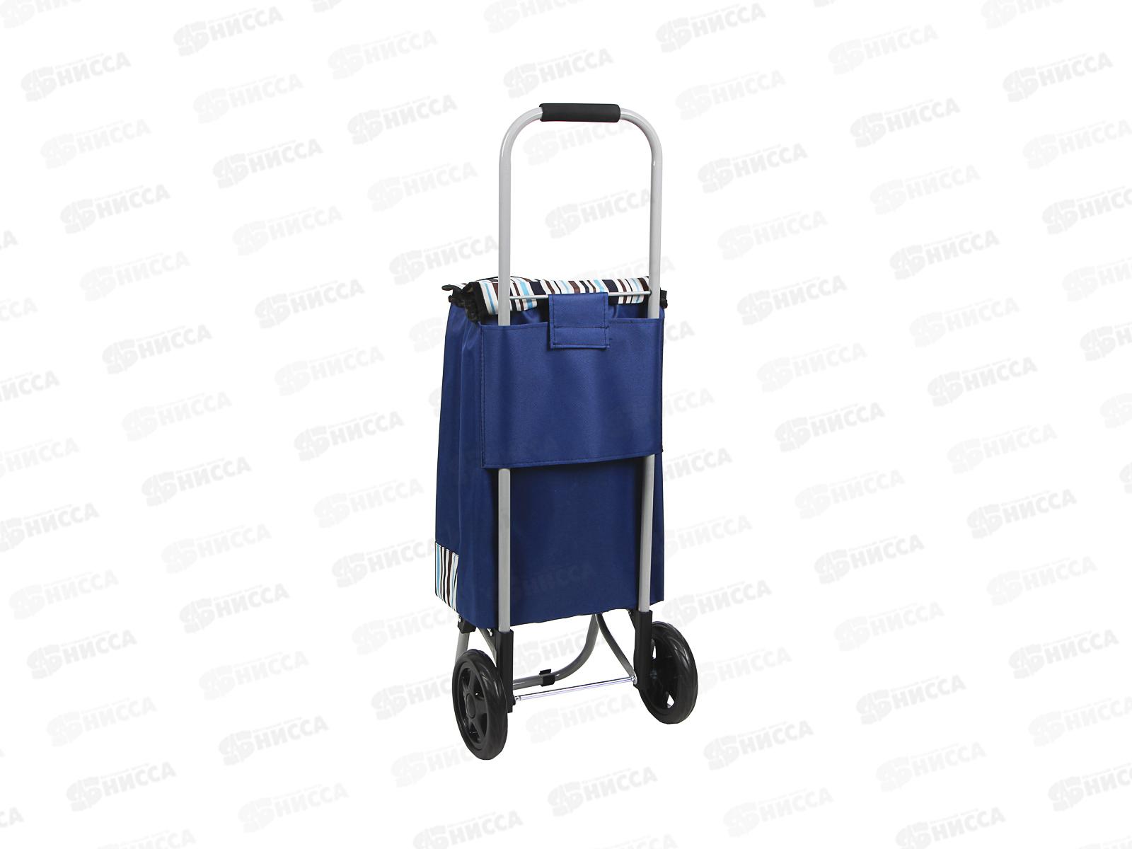 Тележка+сумка до 15кг, брезент, ЭВА 30*22*86см НТ-196-А 467-019 г