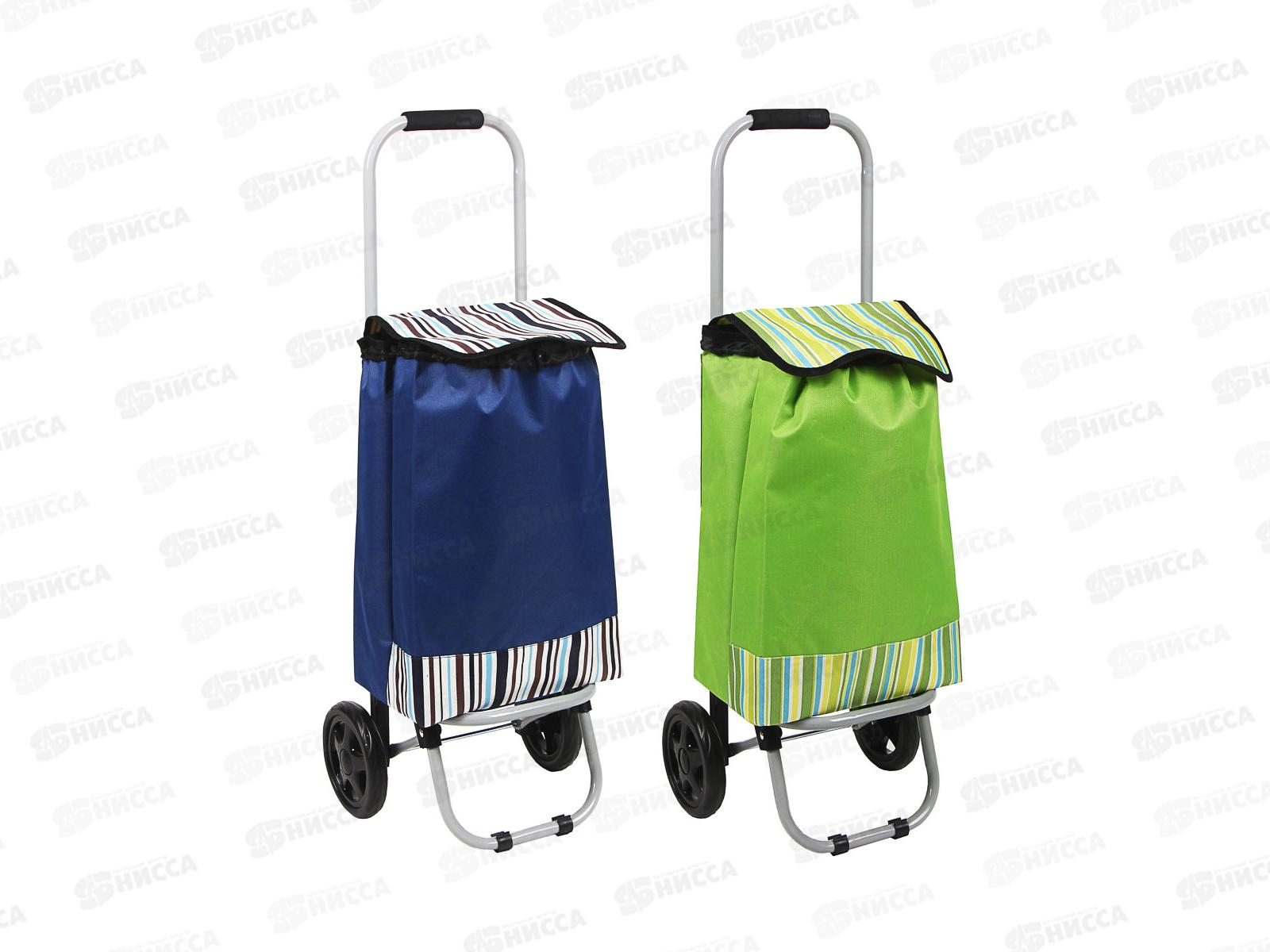 Тележка+сумка до 15кг, брезент, ЭВА 30*22*86см НТ-196-А 467-019 г