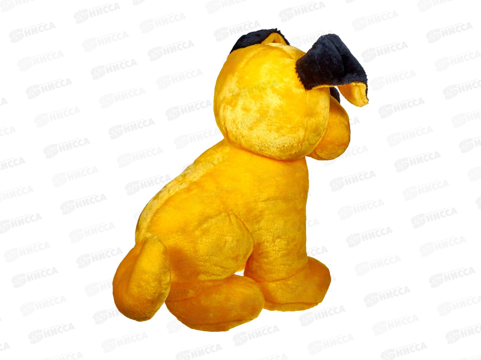 Собака Джуля 19-16  Рэббит