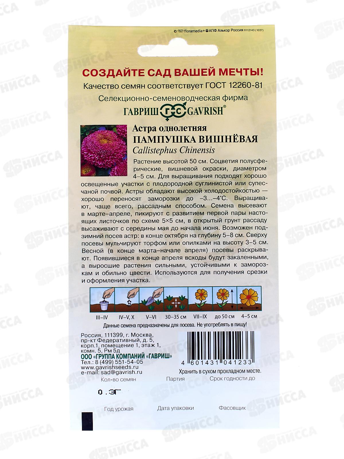 Астра Пампушка вишневая 0,3 грамма  Н12 *10 ГШ +