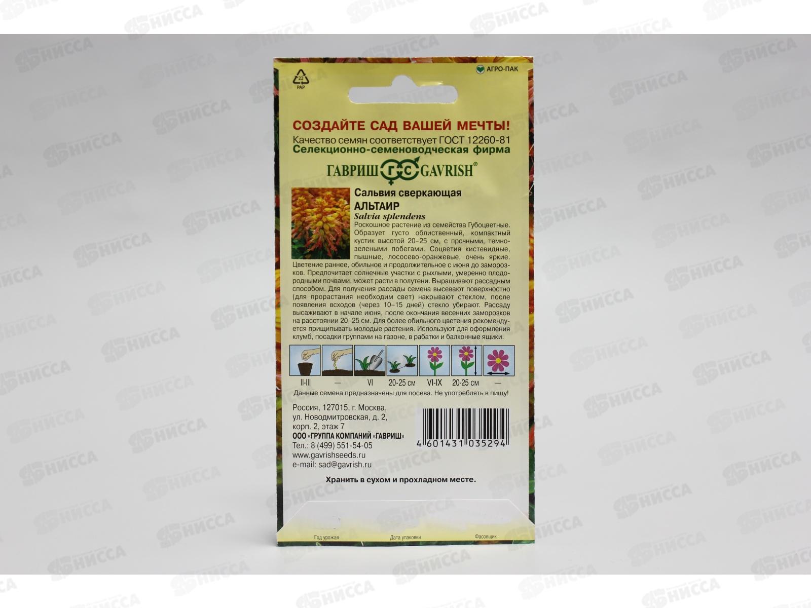 Сальвия Альтаир карликовая 4шт  *10 ГШ