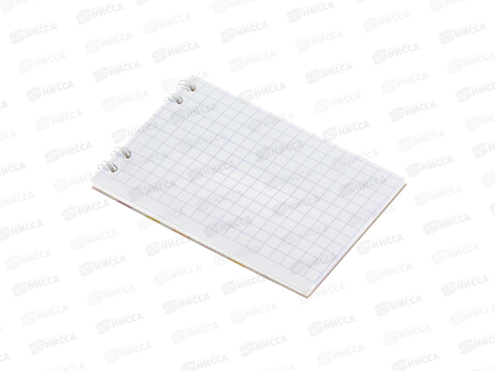 Блокнот 24л ПГС Совушки, 68*98, глит. *24