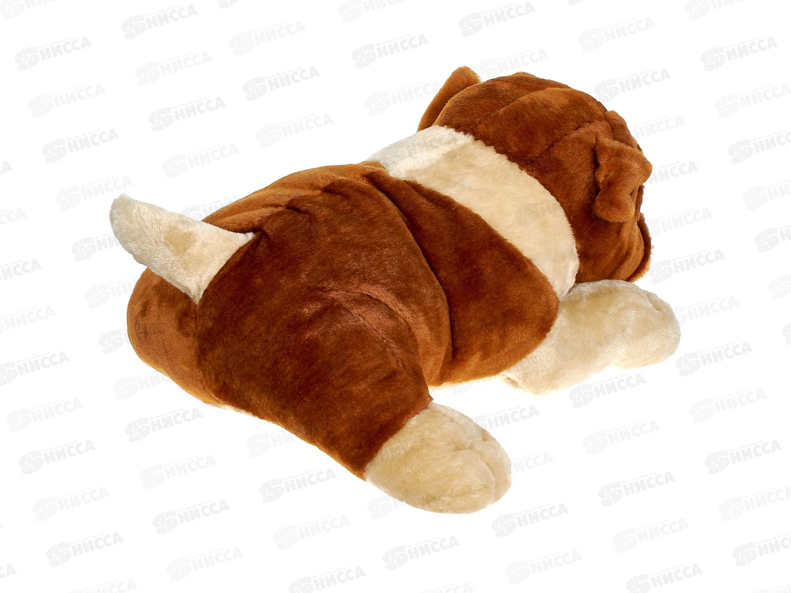 Собака Шарпей Шах 19-28 Реббит