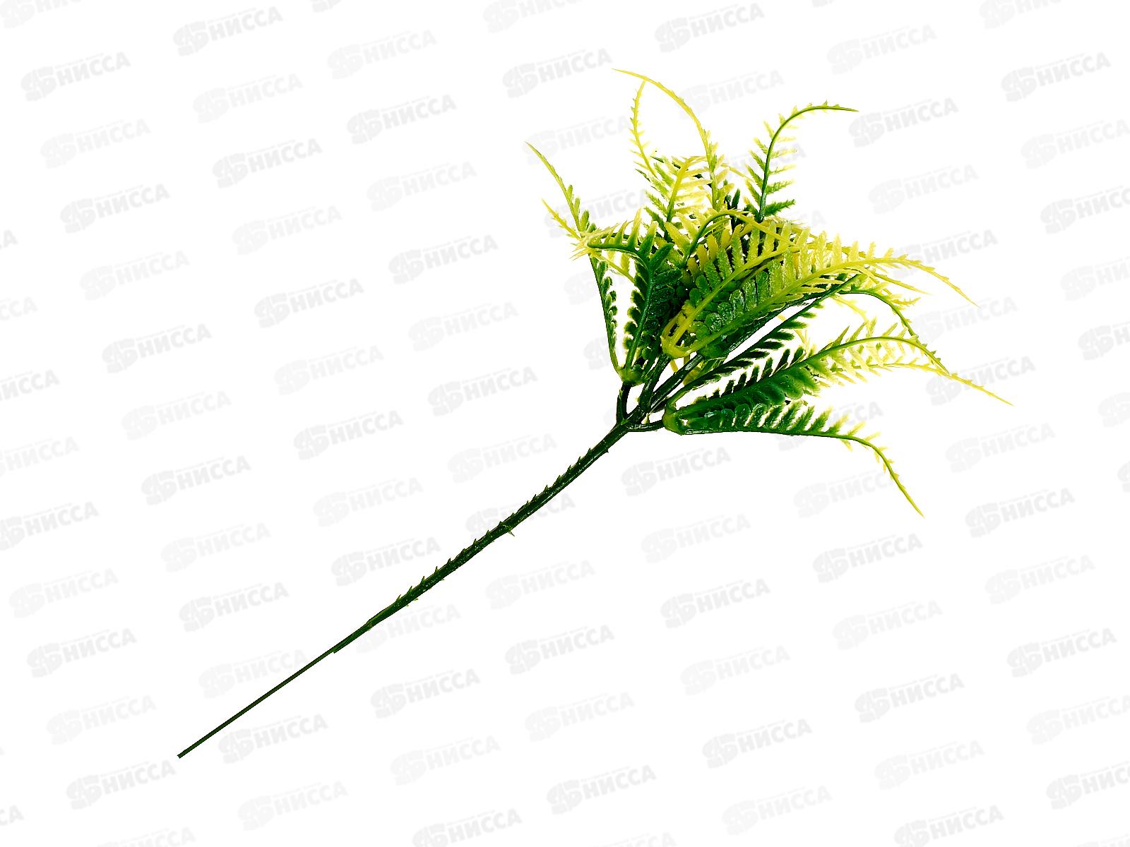 Букет 15см Папоротник волнистый 1653800