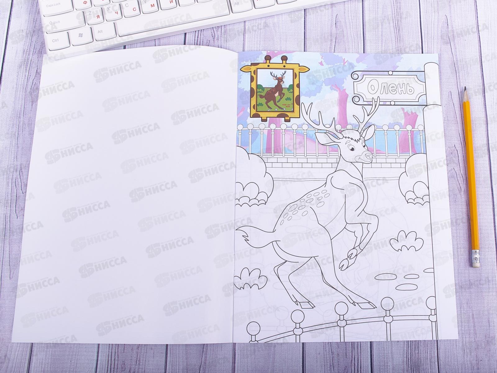 Раскраска ЛиС А4  8листов Зоопарк, в ассортименте, РКСБ * 50