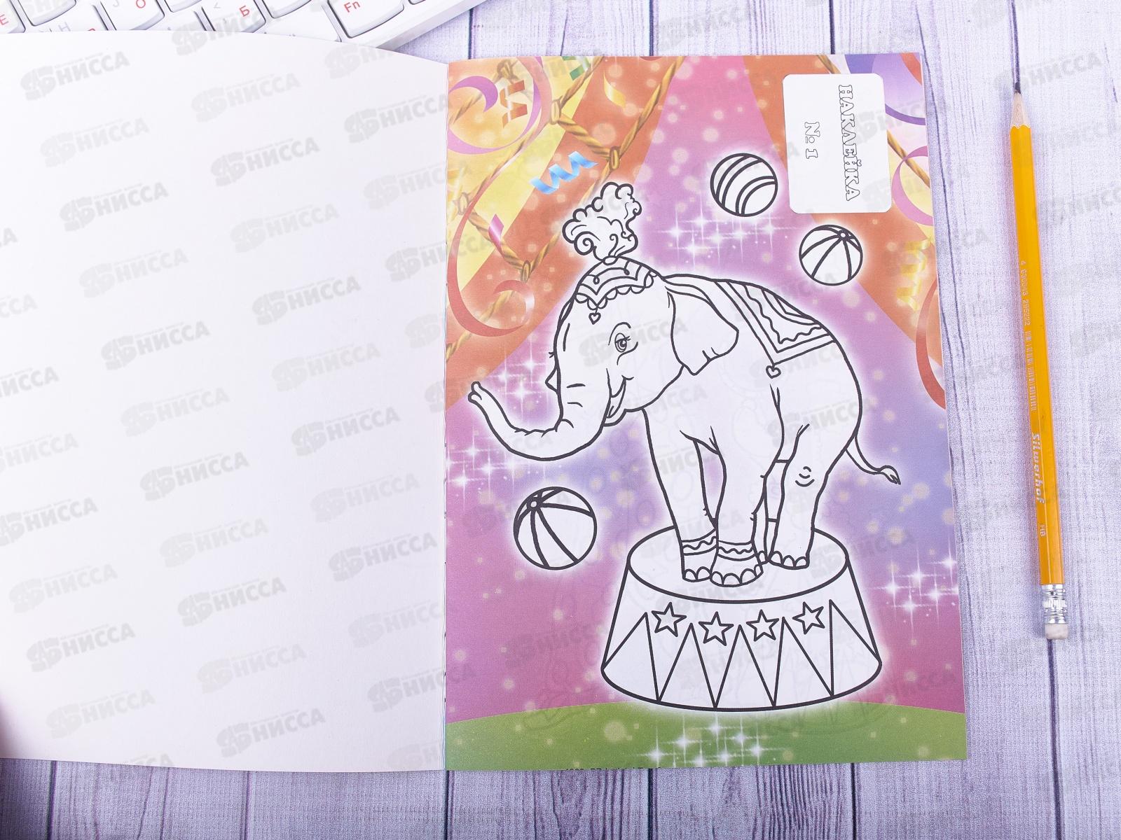 Раскраска ЛиС А5 с наклейками Цирк, РНМ * 50