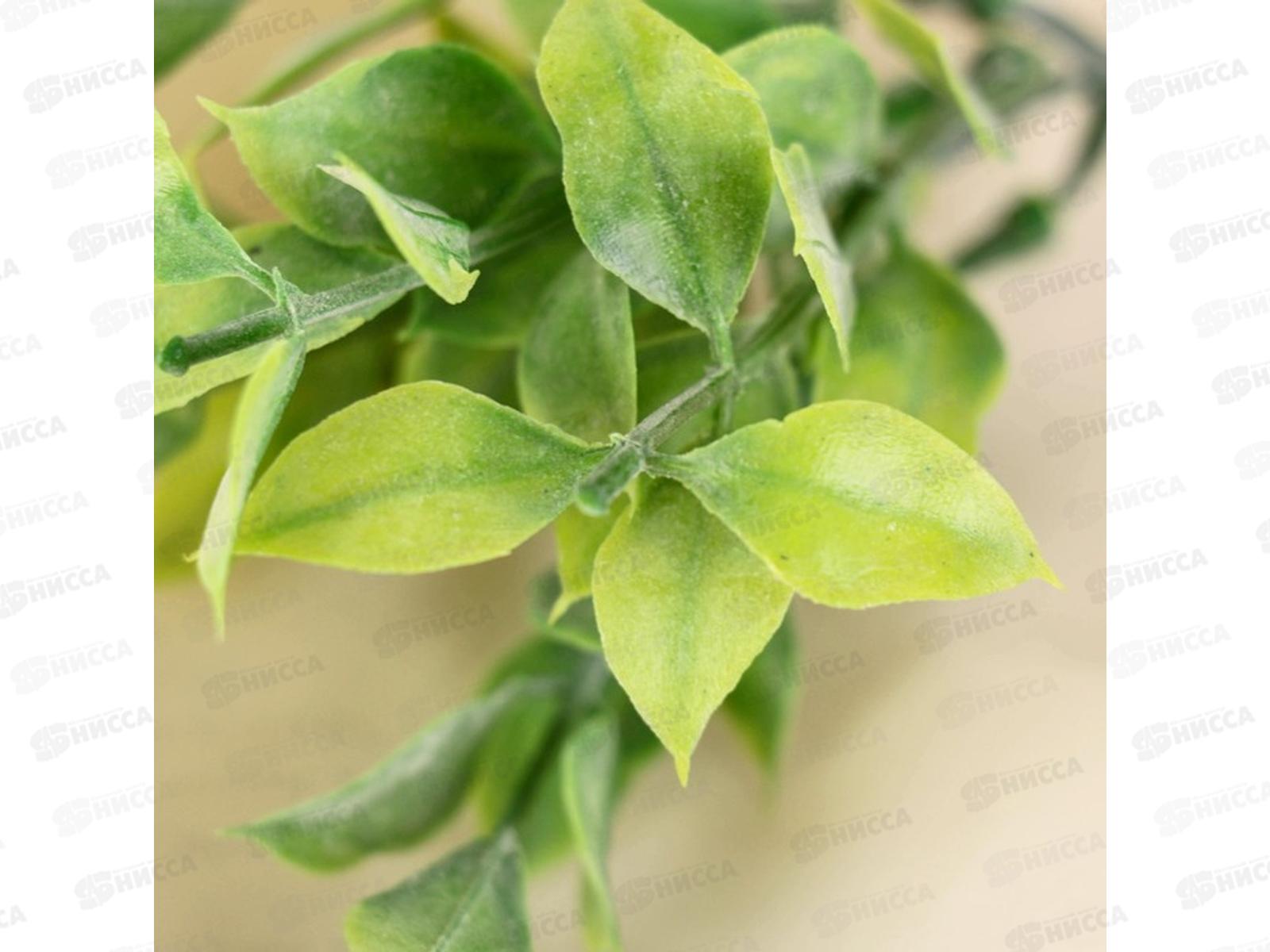 Букет Листочки с напылением 1653793 *6