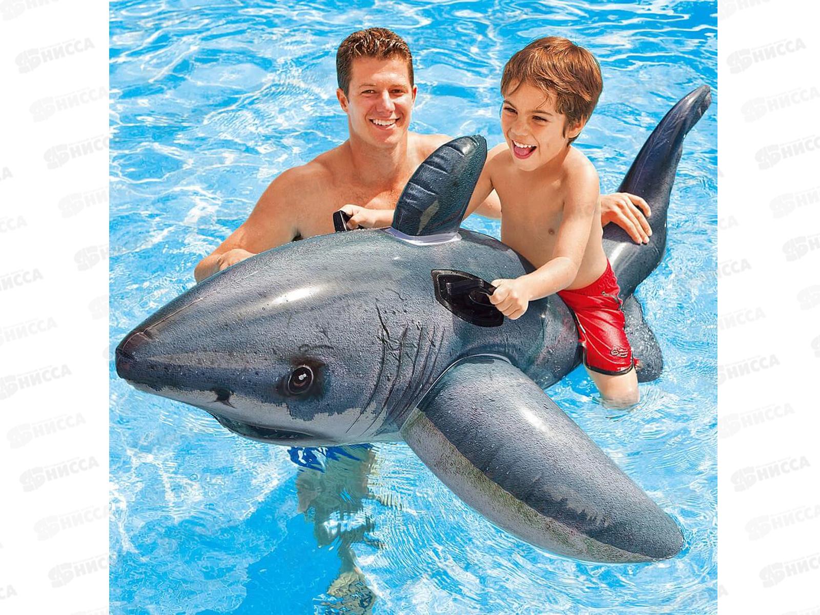 Надувная игрушка Акула 57525 (173х107см)   INTEX