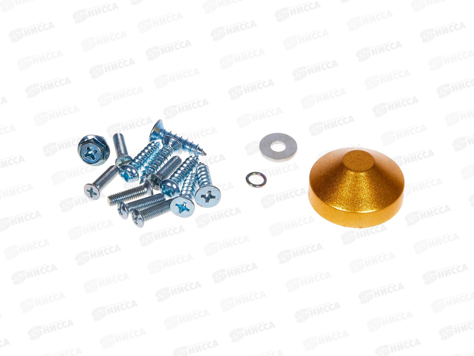 Доводчик Д01-120 золото Сазар