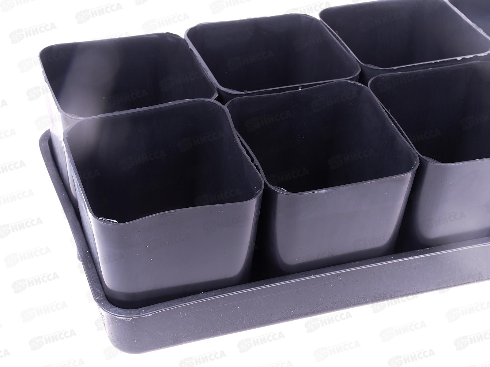 Набор для рассады №2 (0,5*10шт+поддоном) Ангарск *8 Р-10957