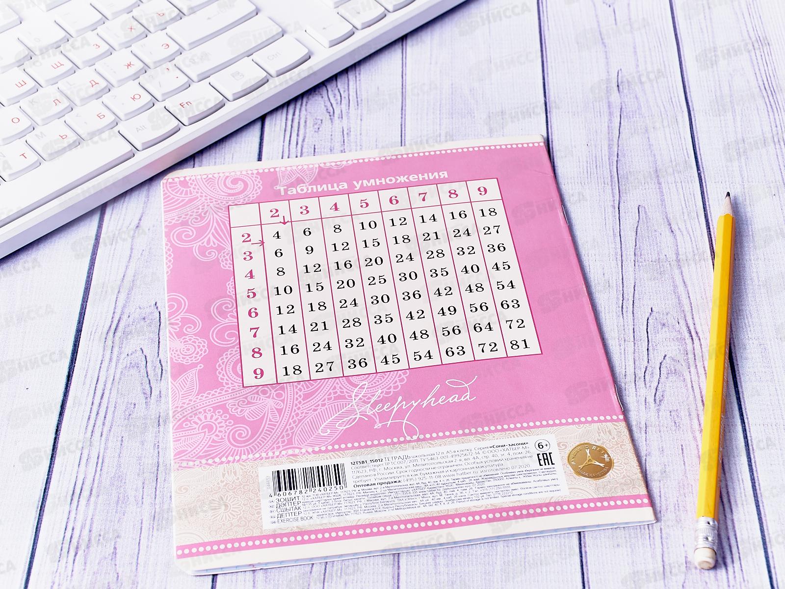 Тетрадь 12 листов клетка Hatber Сони-Засони *10/140