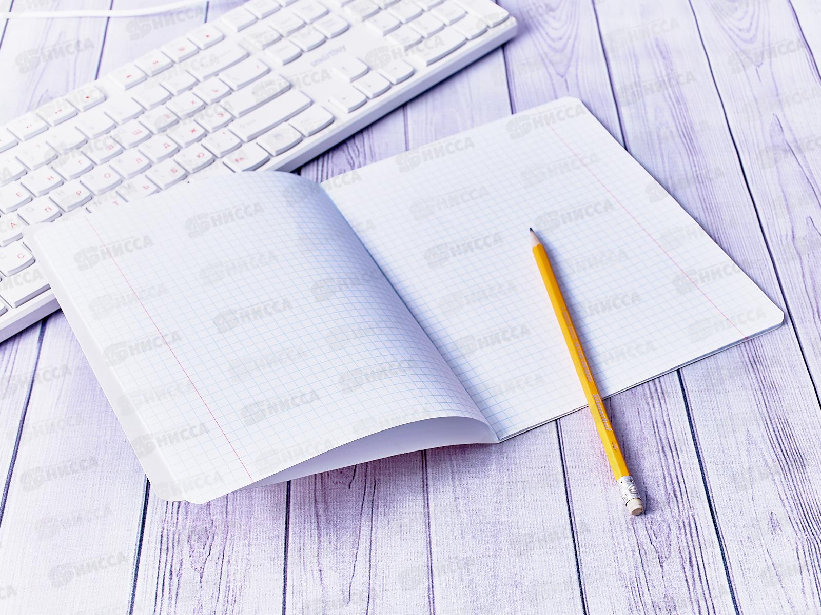 Тетрадь 12 листов клетка Hatber Сони-Засони *10/140