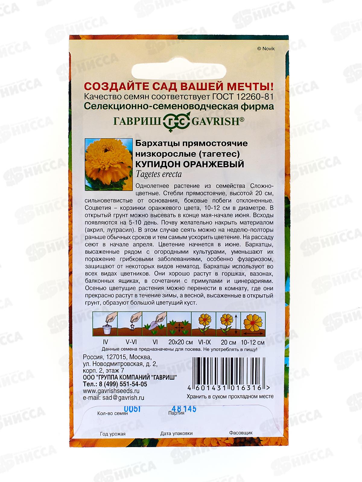 Бархатцы прямостоячие Купидон оранжевый 20см (Тагетес) 0,05 грамм   *10 ГШ +