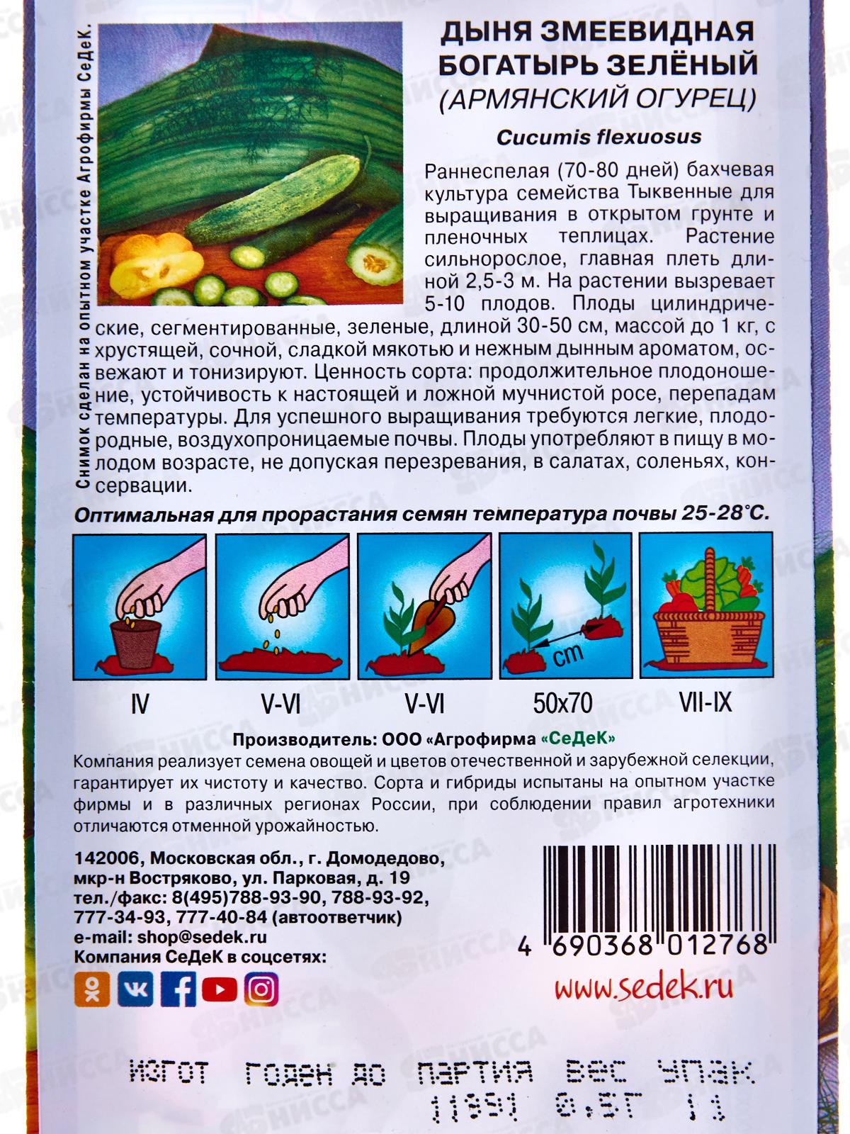 Дыня Армянский огурец &quotБогатырь зеленый&quot (Евро, 0,5) *10 СеДек +