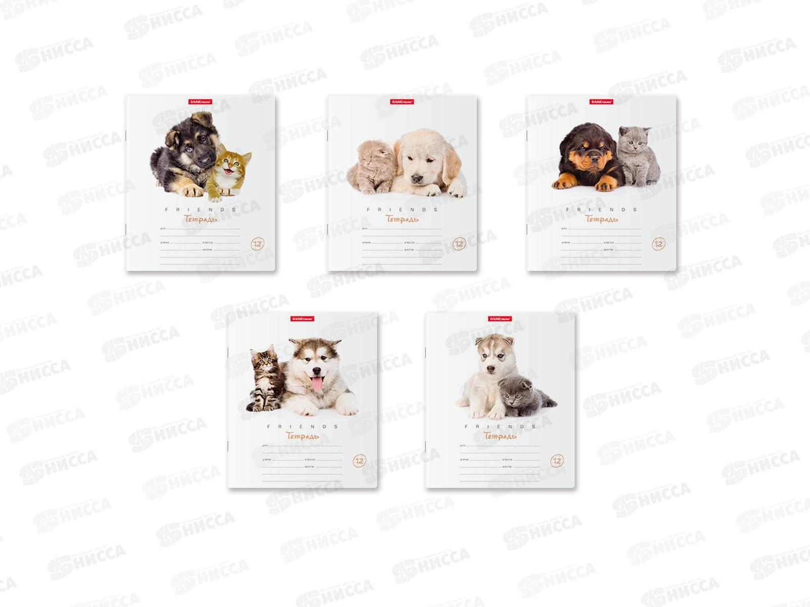 Тетрадь 12 листов клетка ПОЛИ Дружба 42545*10/280