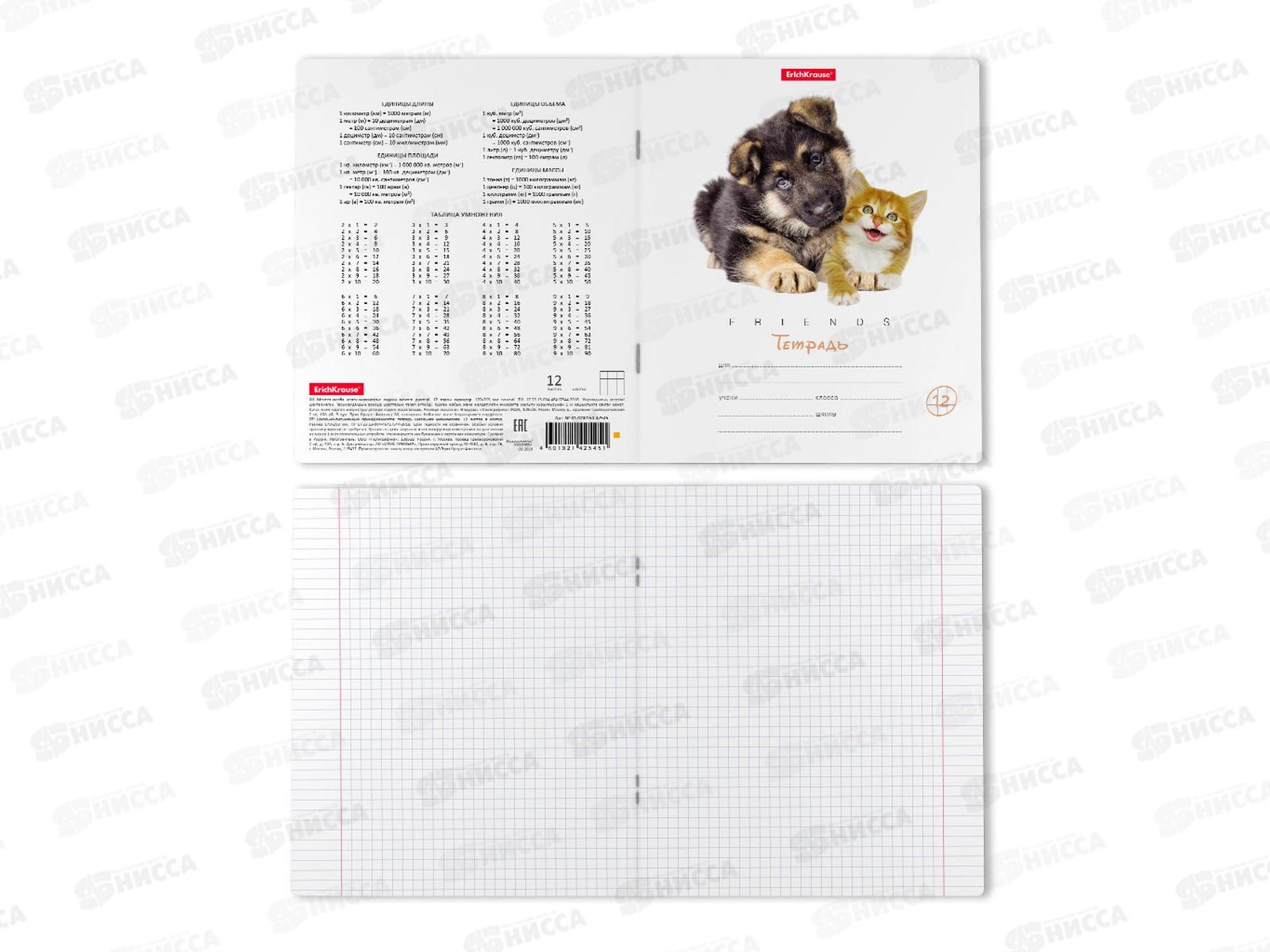 Тетрадь 12 листов клетка ПОЛИ Дружба 42545*10/280