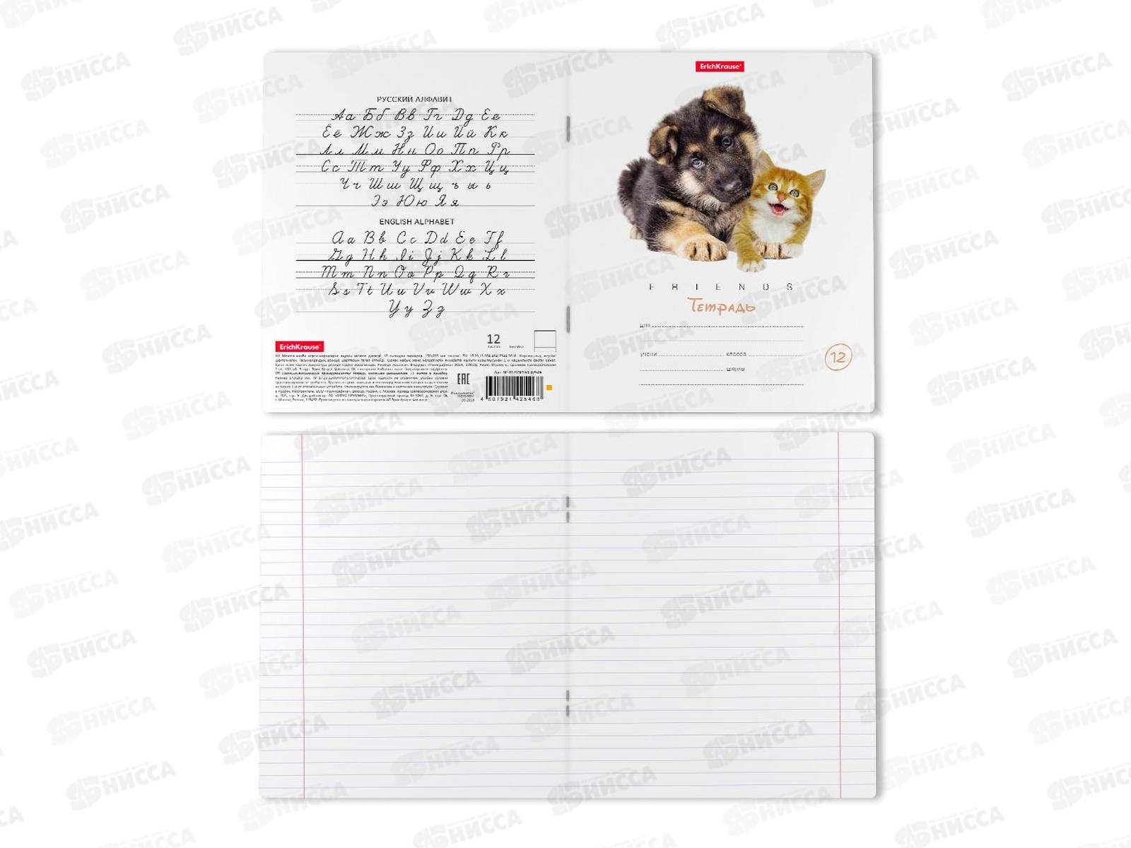 Тетрадь 12 листов линия ПОЛИ Дружба, 42546*10/280