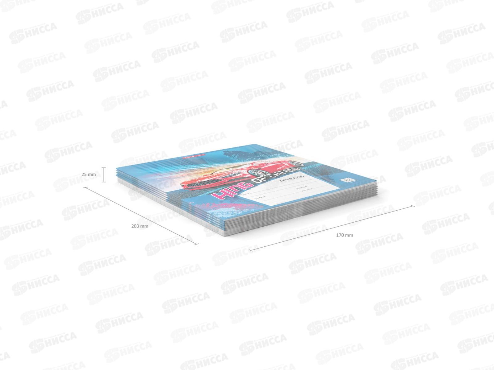 Тетрадь 12 листов линия ПОЛИ Автосияние, 39907*10/280