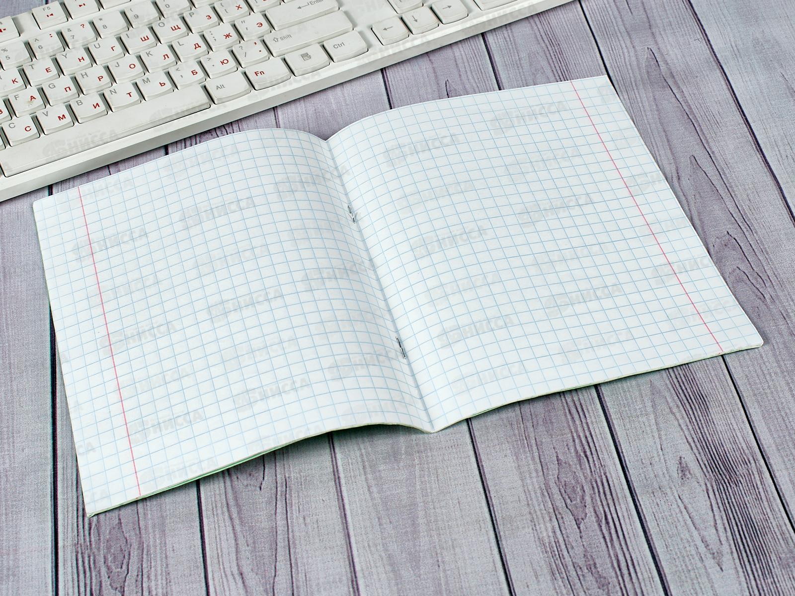 Тетрадь 12 листов крупная клетка Hatber зеленая обложка, 05112 *360