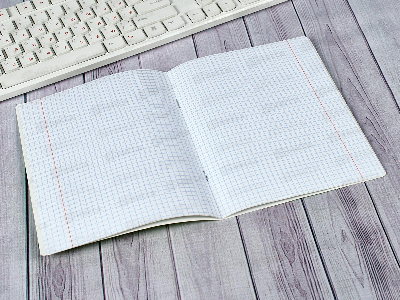 Тетрадь 18 листов клетка BG Школьная зеленая обложка,7337*12/144