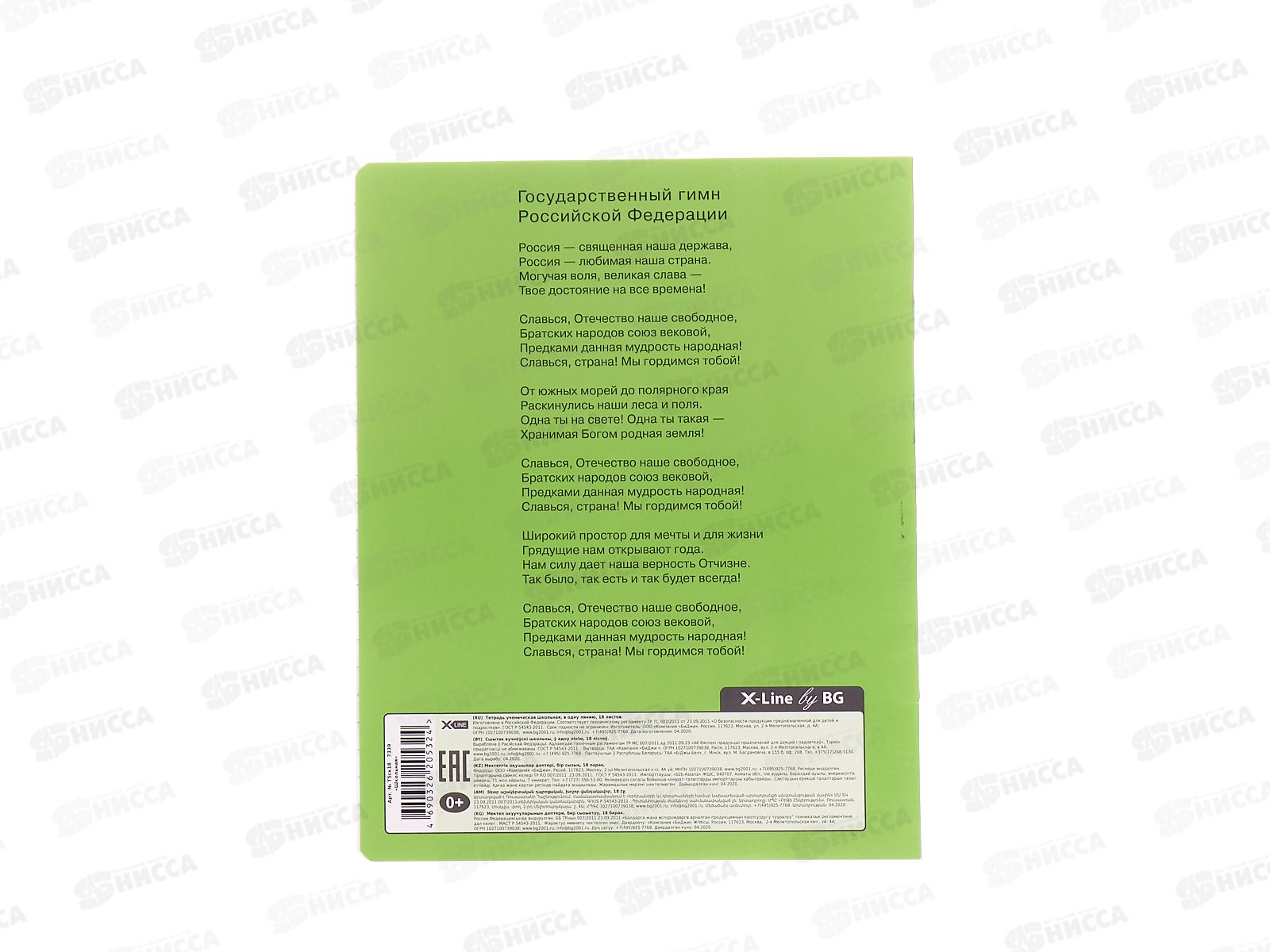 Тетрадь 18 листов линия BG Школьная, зеленая 7339  *12/144