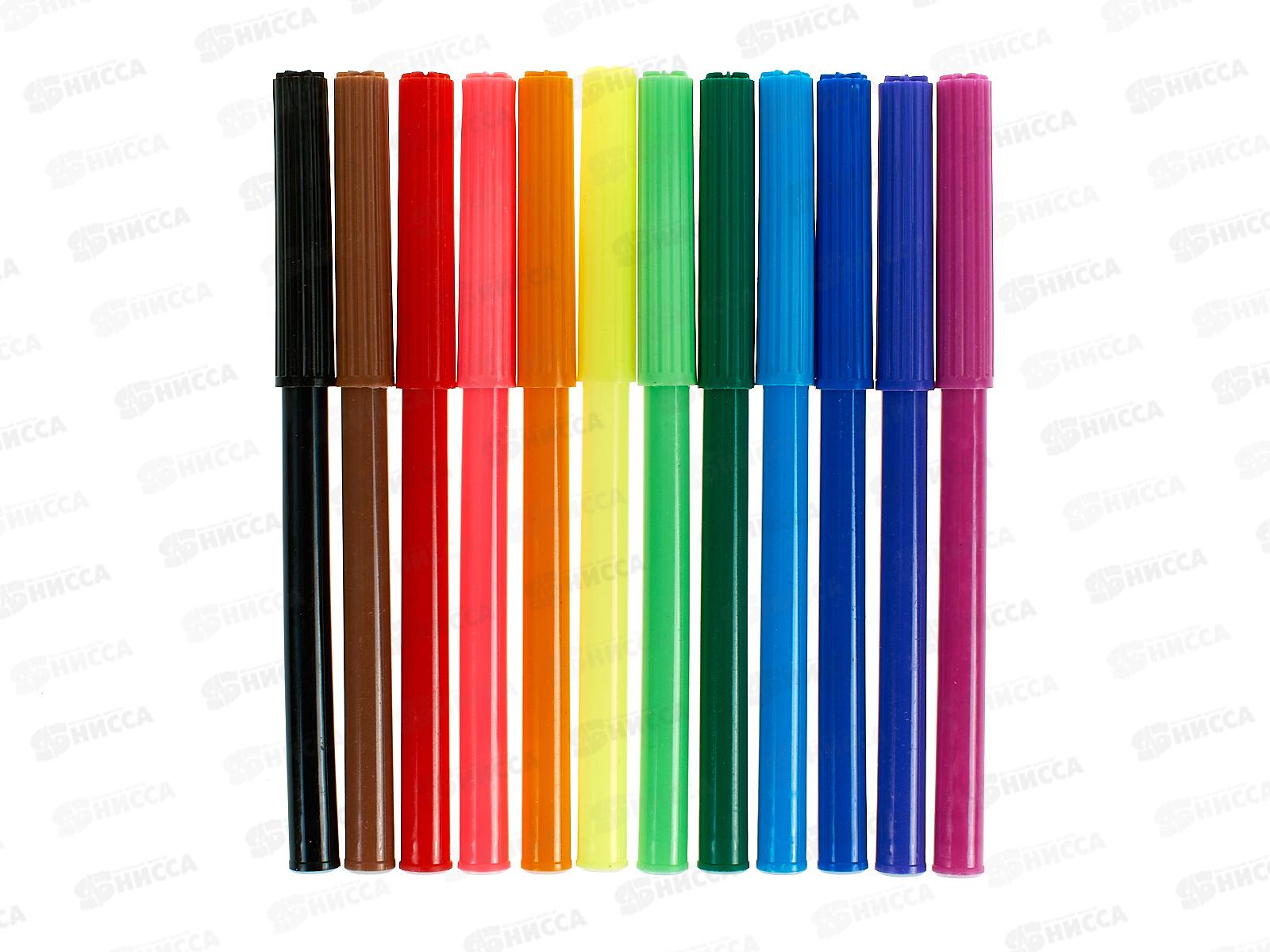 Фломастеры 12 цветов  Darvish  для девочек , картонная упаковка, DV-3601-12А*12/120