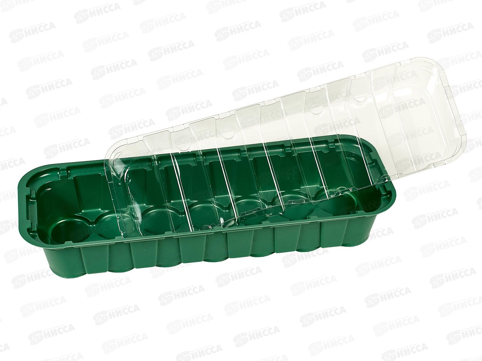 Парник под торфяные таблетки 14 мест *100