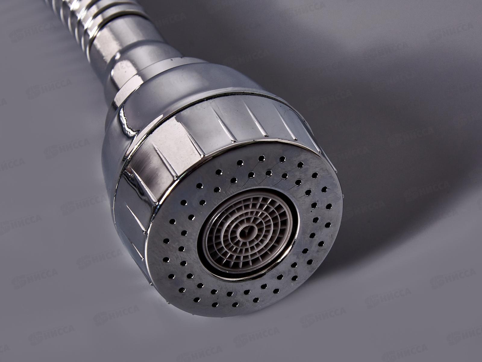 Смеситель для кухни РОТАТО Р58201, с высоким гибким изливом