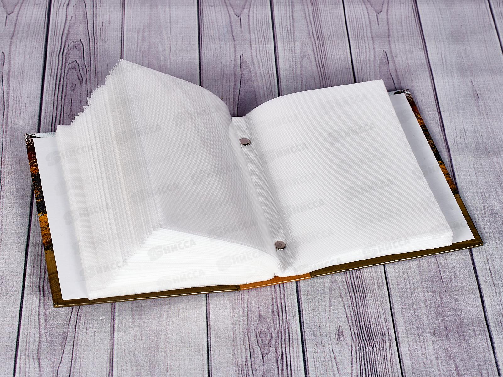 Фотоальбом PLATINUM PP-46100S, 100 фото, 10*15, ландшафт-1*12