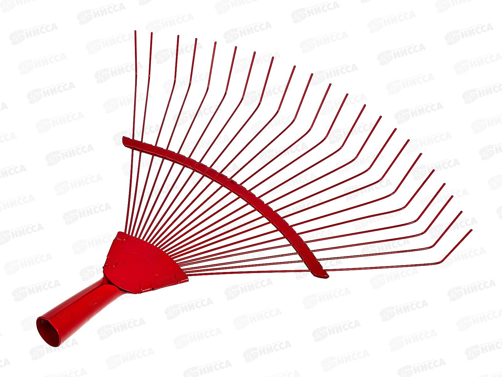 Грабли веерные без ручки (023725)  *60 Ж