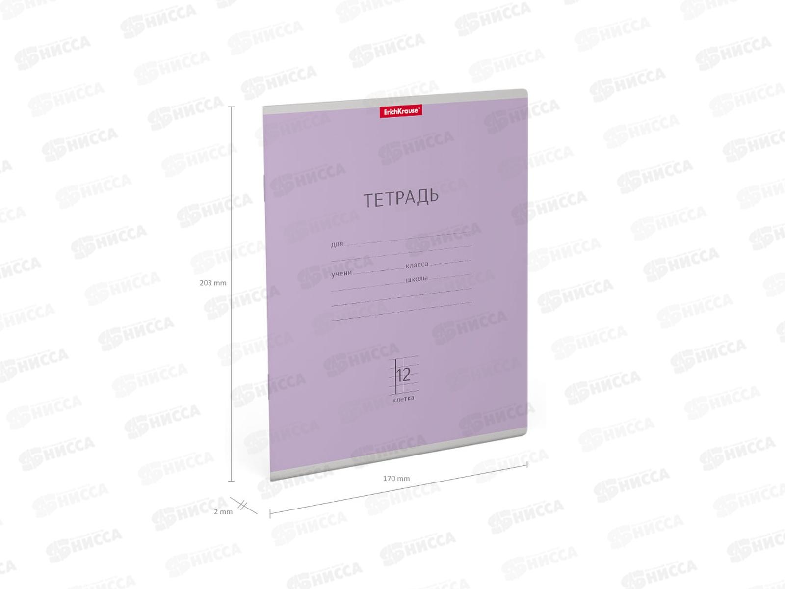 Тетрадь 12 листов клетка ПОЛИ Классика фиолетовая, 44999 *10/280