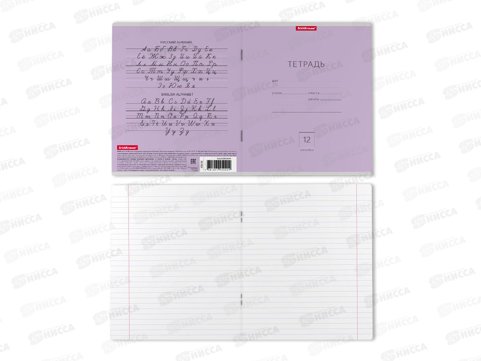 Тетрадь 12 листов линия ПОЛИ Классика фиолетовая, 45000 *10/280