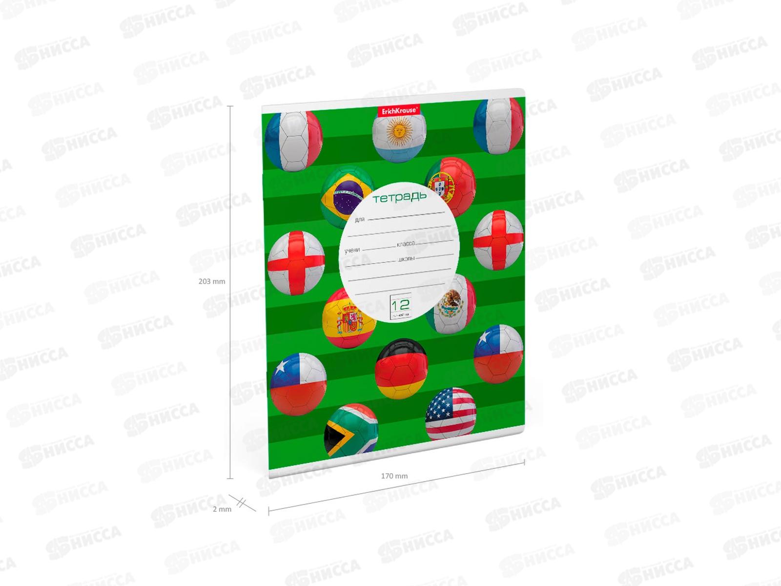 Тетрадь 12 листов линия ПОЛИ The Champions, 45067 *10/280