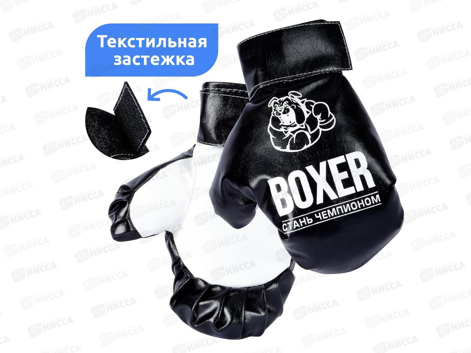 Боксерский набор №4 60см /2, 19516