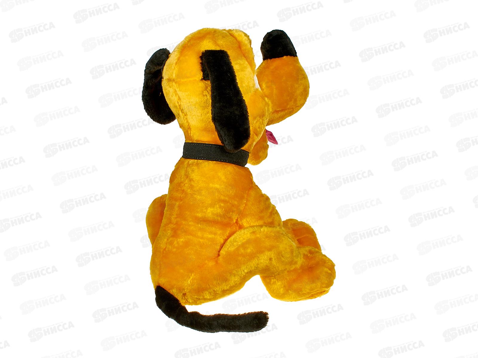 Пес Плут 17-25  Рэббит