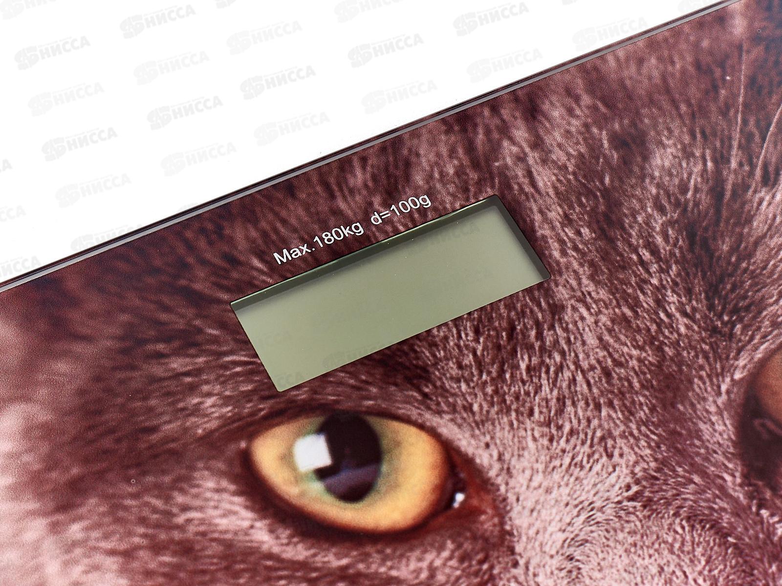 Весы напольные SA-5065CT ultraslim 180кг электронные  Кошка