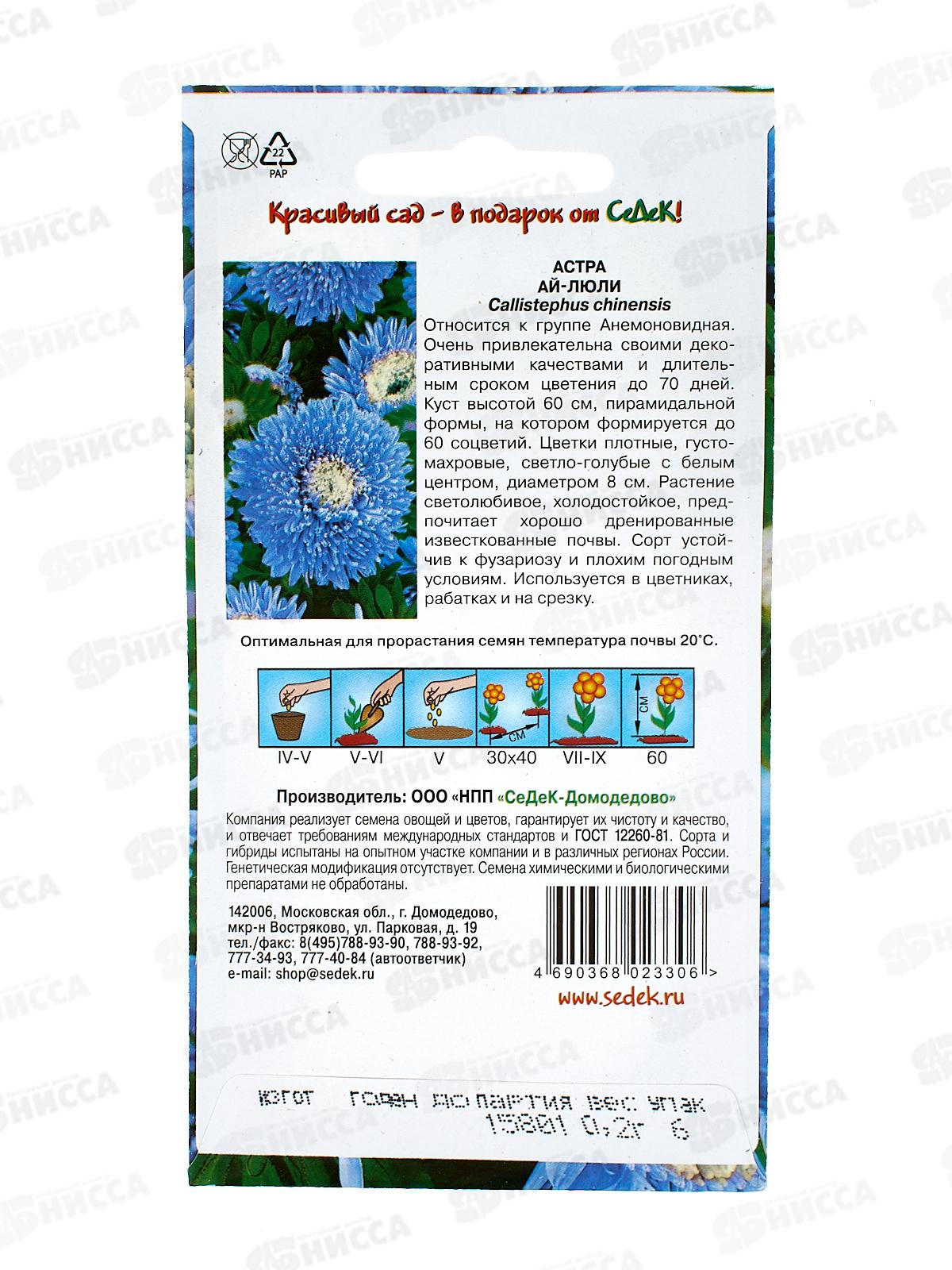 Астра Ай-люли (синяя с белым центром) (Евро, 0,2) СеДек *10 +