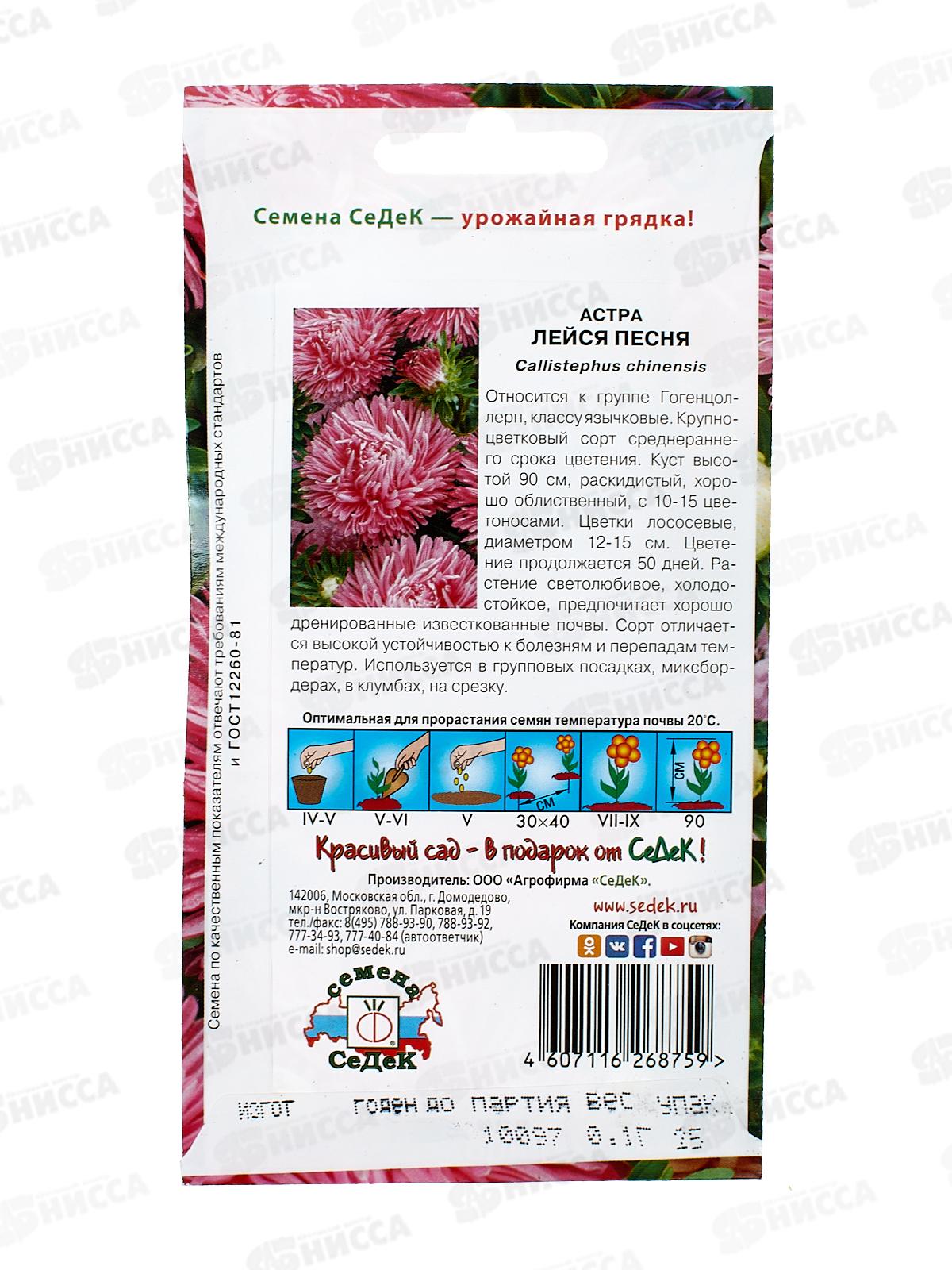 Астра Лейся песня (гогенцоллерн, лососевая) (Евро, 0,2) СеДек *10 +