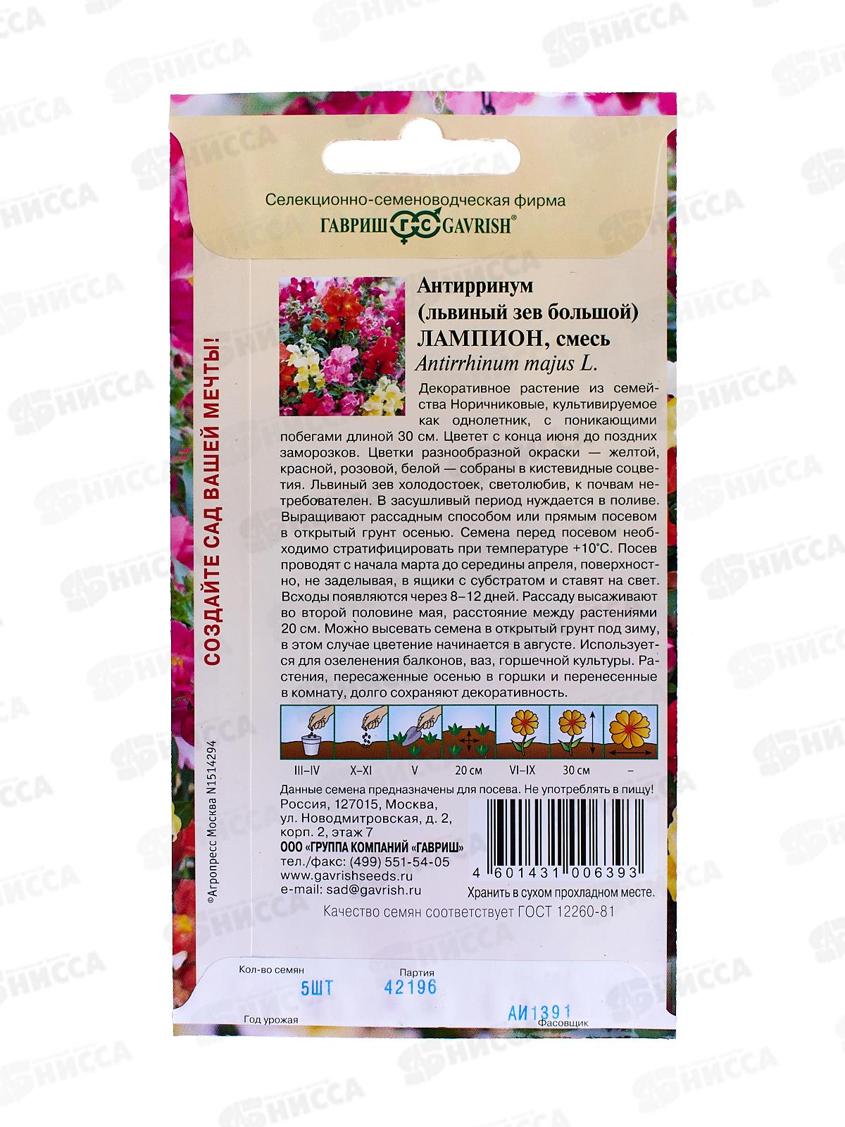 Львиный зев ампельный Лампион 5 штук  *10 ГШ +