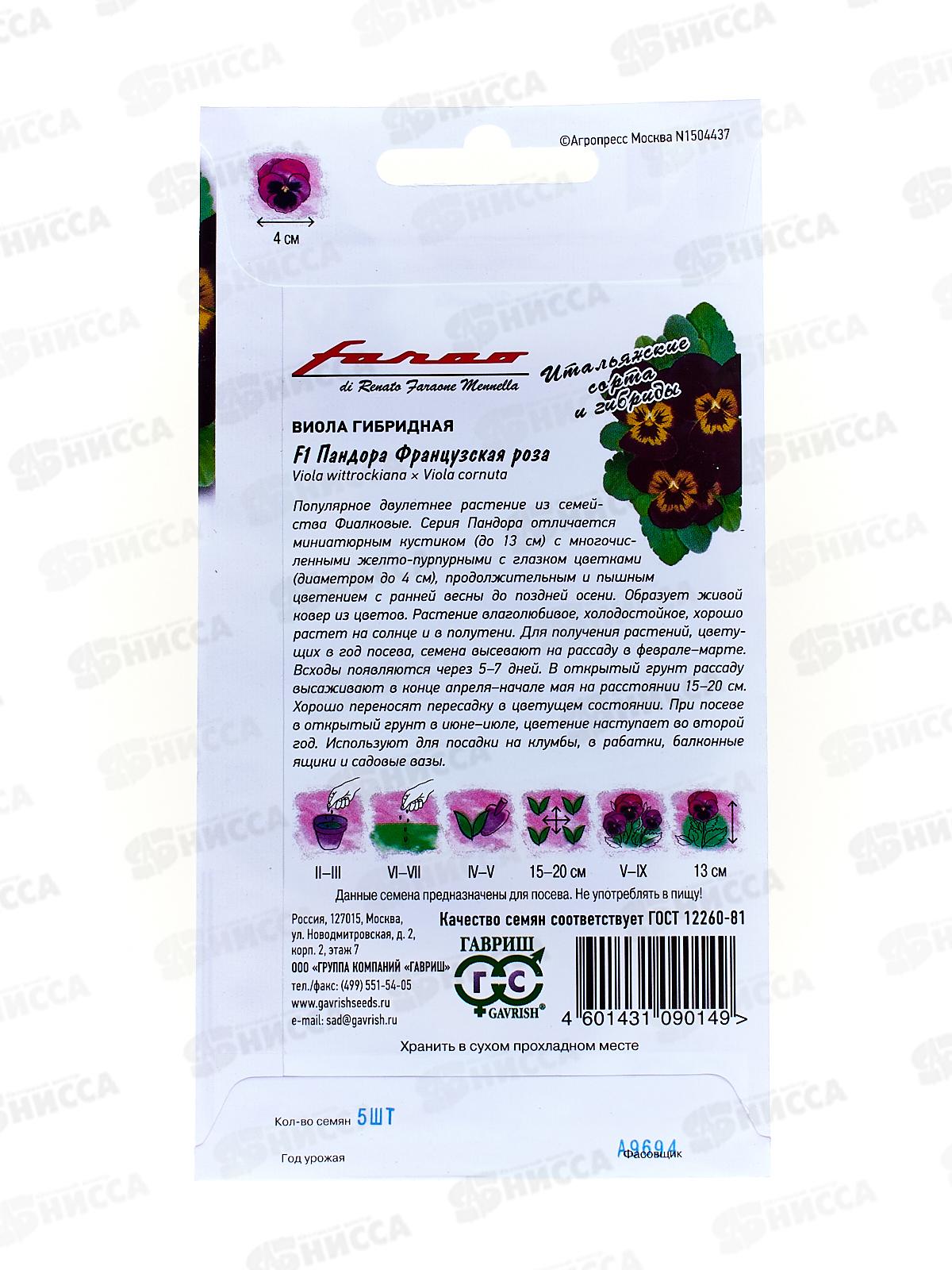 Виола Пандора Французская роза 5 штук  Фарао  Н18 *10 ГШ