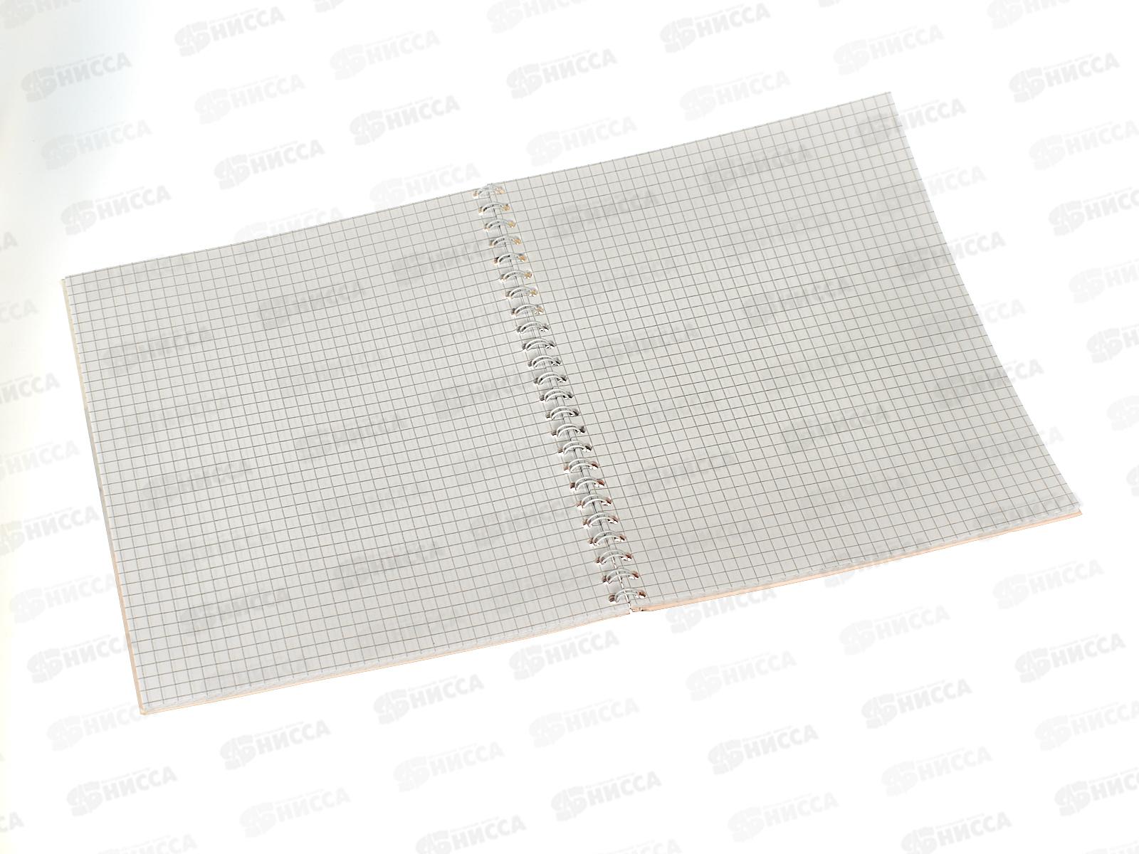 Тетрадь 48 листов  клетка  ПЛН Россия, офсетная на гребне 21с18-48  *30