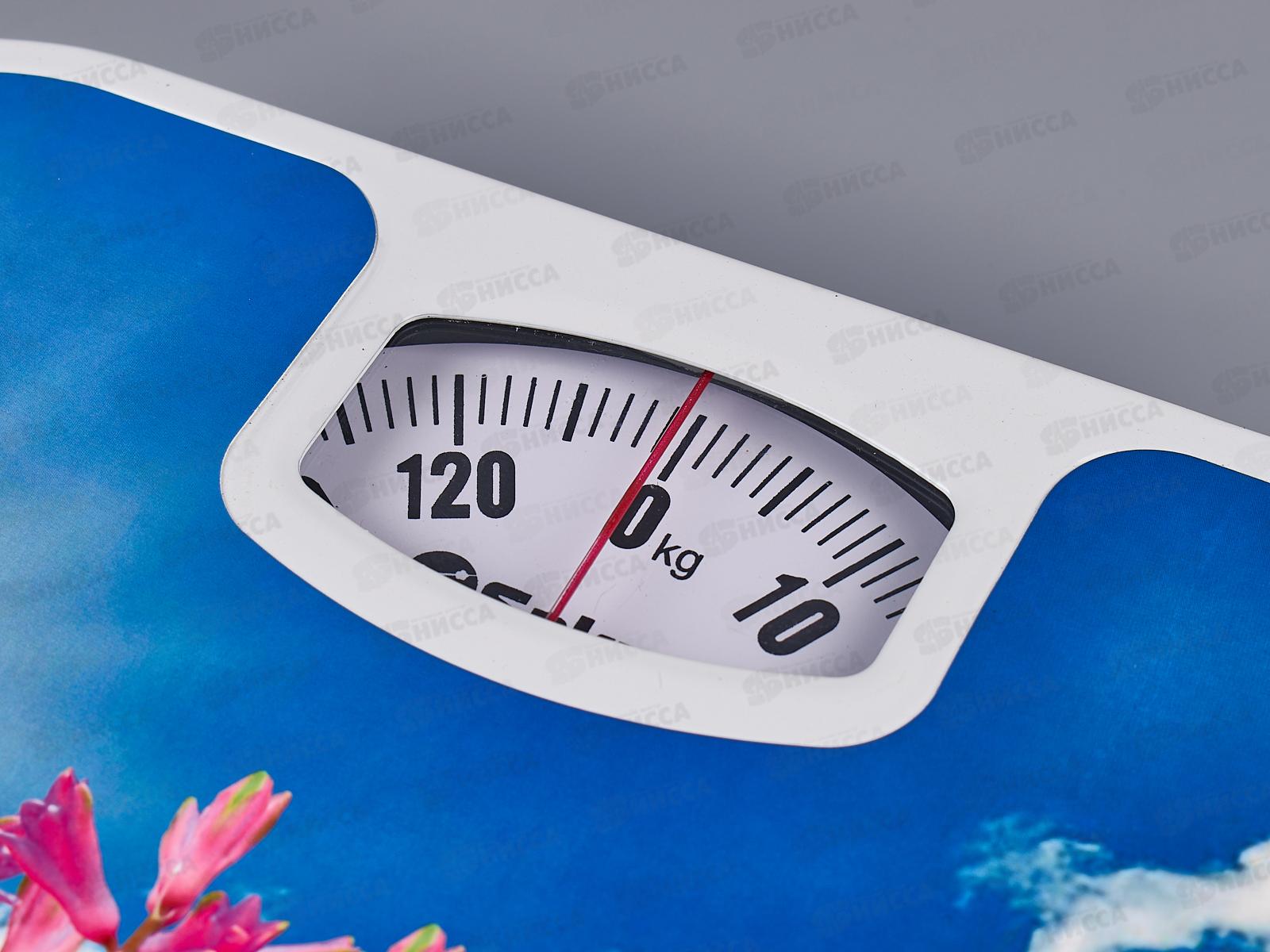 Весы напольные SA-5000-7 130кг механические Гиацинты