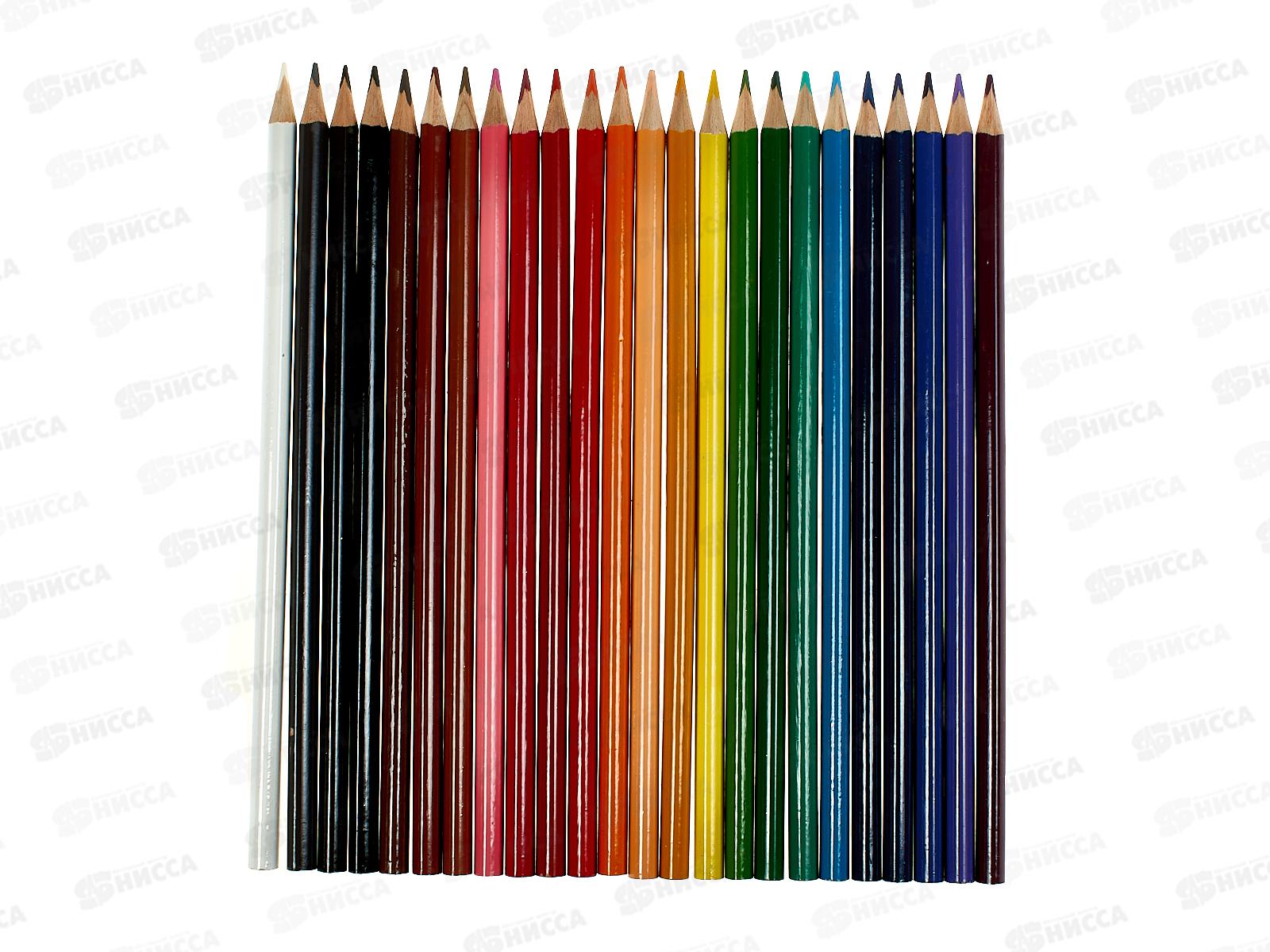 Карандаши 24 цвета ГАММА Мультики,трехгранный, заточенный, картонная упаковка,050918_09*12