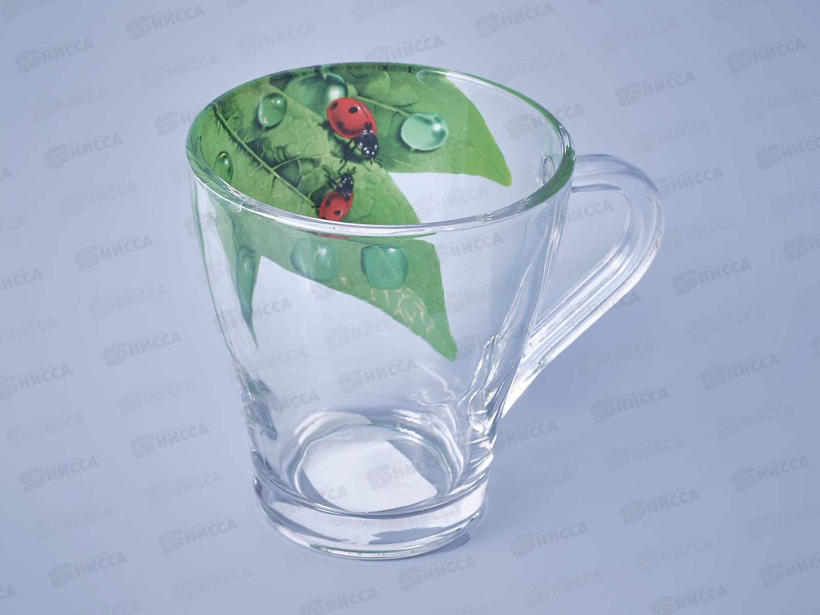 Кружка 250мл 1649-Д Живая природа.Зеленый лист *12