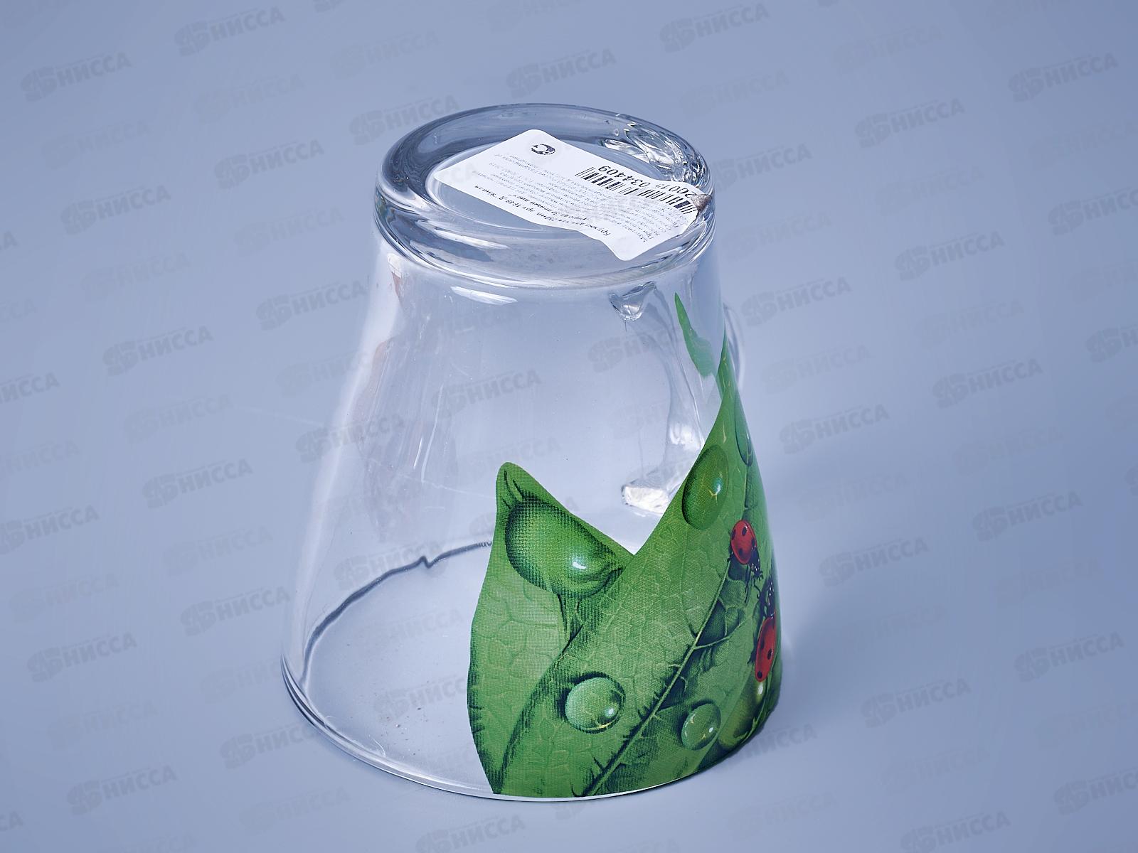 Кружка 250мл 1649-Д Живая природа.Зеленый лист *12