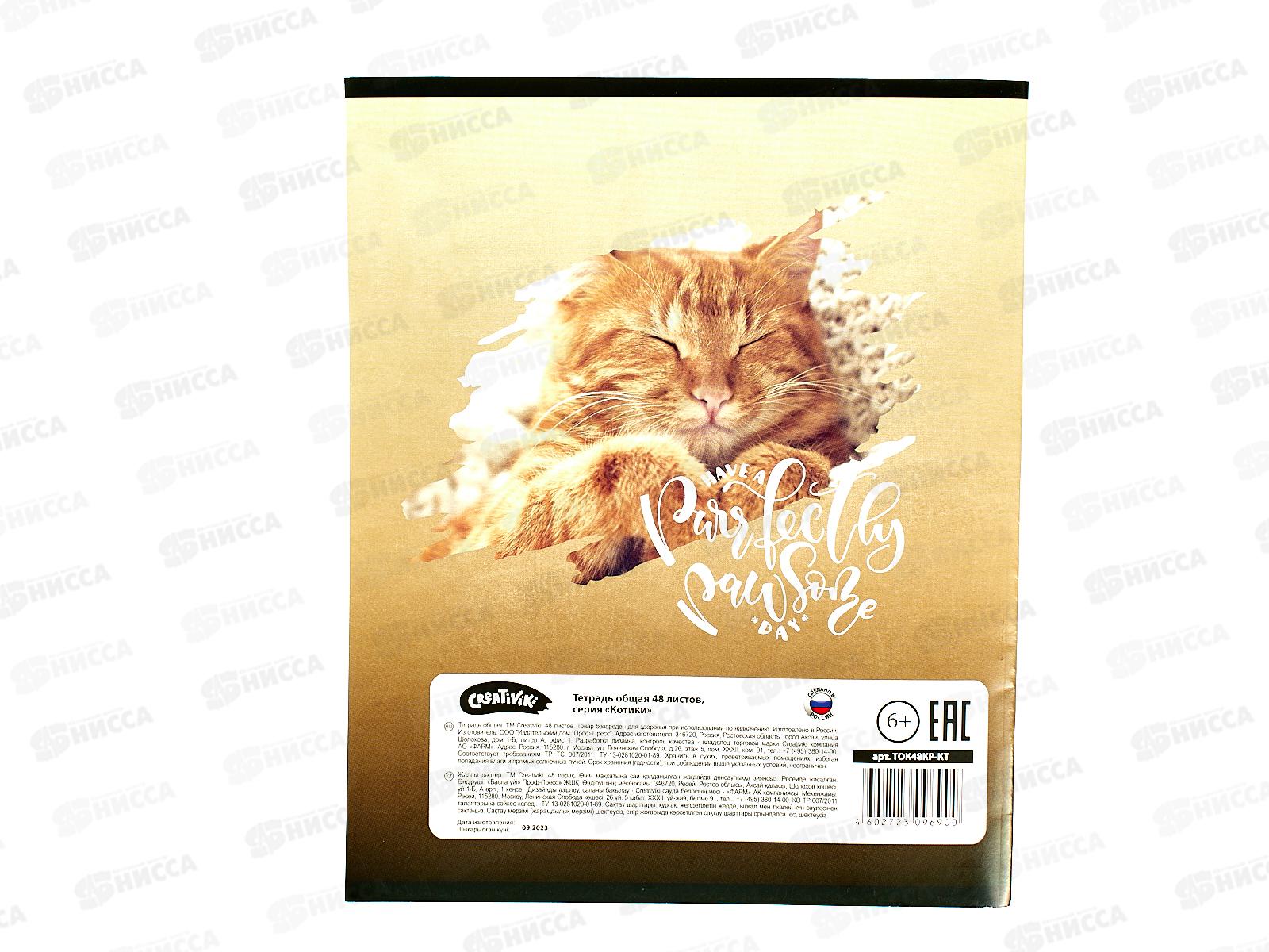 Тетрадь 48листов клетка Creativiki А5 Котики ТОК48КР-КТ*8/64