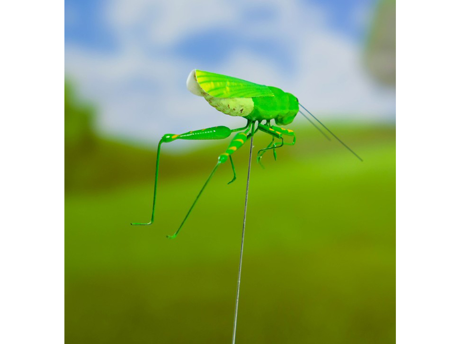 Штекер для комнатных растений &quotКузнечик зеленый&quot 3*5*22см 3945440