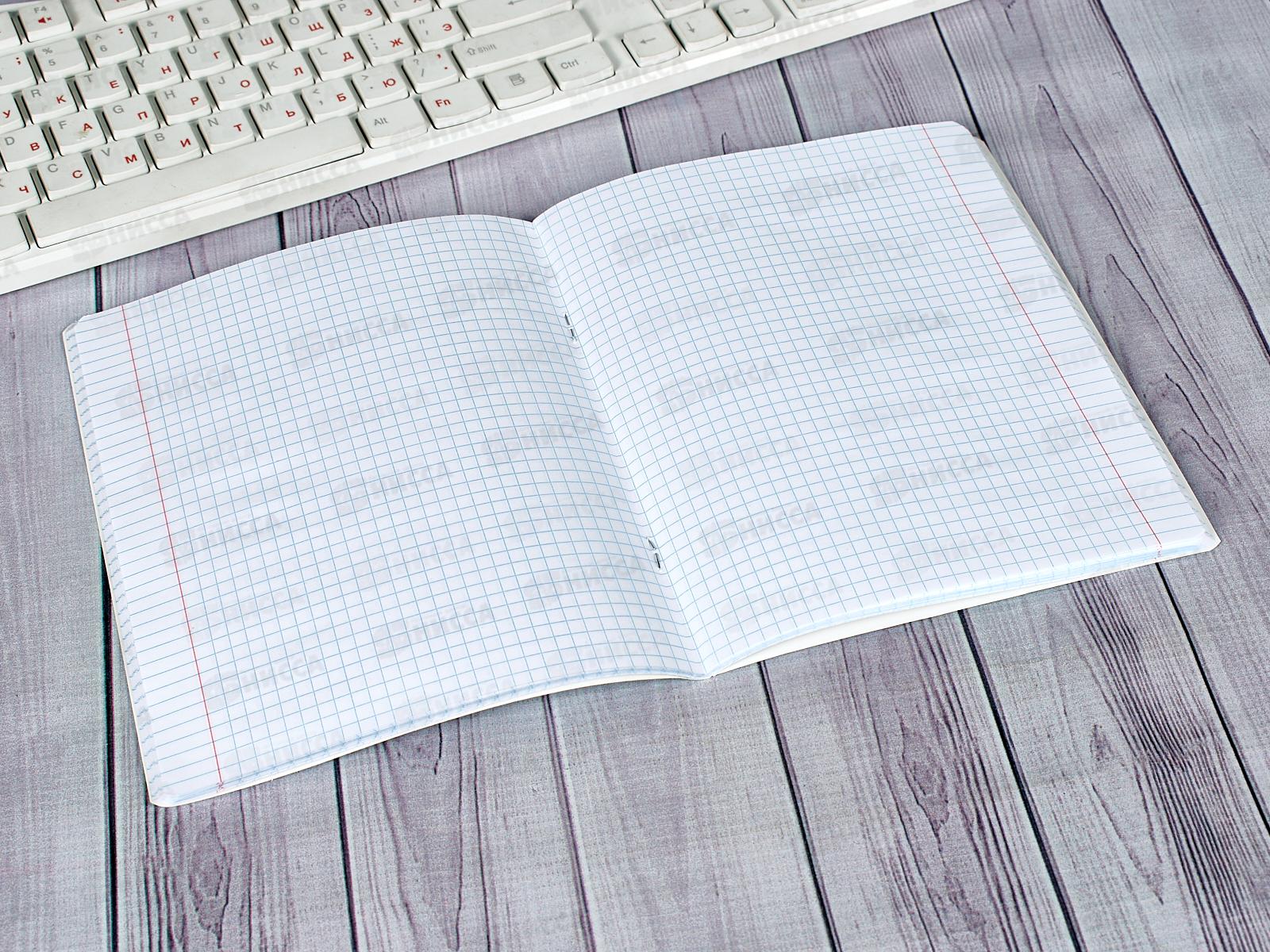 Тетрадь 48листов клетка АЛЬТ Природа.Пейзажи,7-48-637*10/60