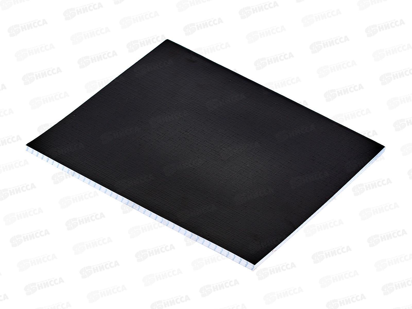 Тетрадь 48листов клетка Hatber бумвинил METALLIC Черная*5/60