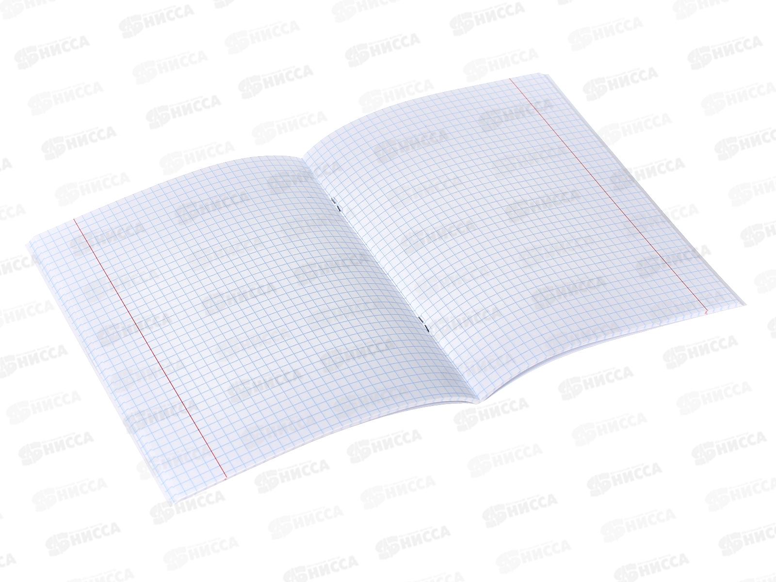 Тетрадь 48листов клетка Hatber бумвинил METALLIC Красная*5/60